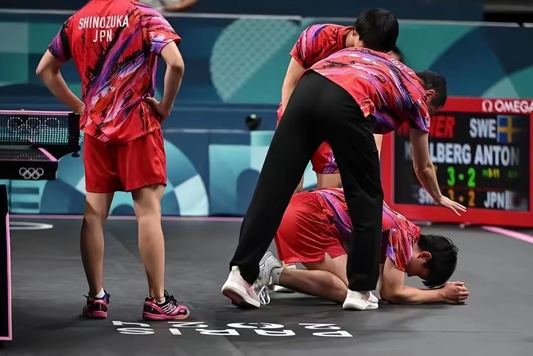 奥地利队横扫法国队，张本智和状态火热