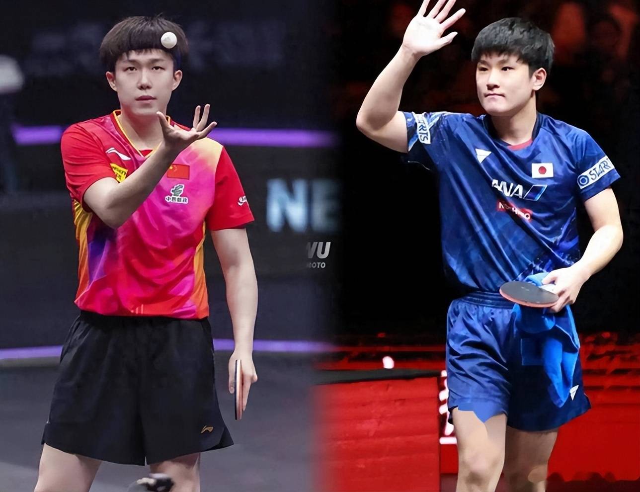 中国队轻取法国队，张本智和惊艳四座