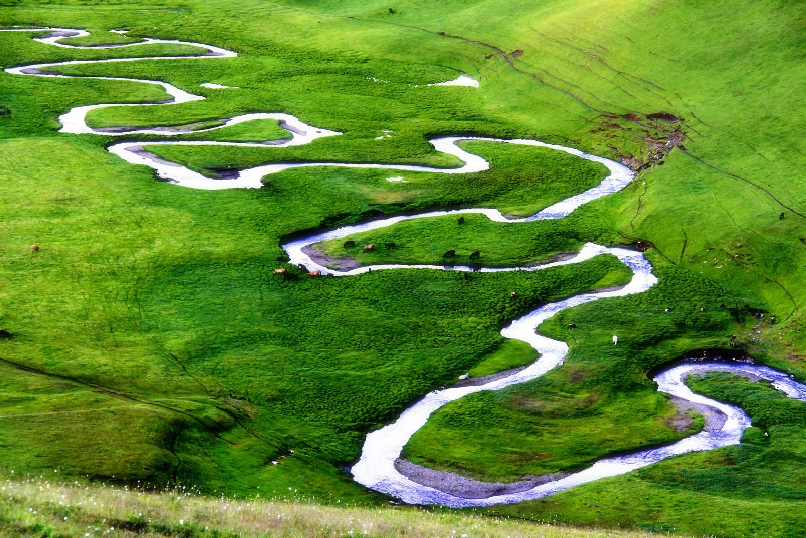 马赛力克比利时，格列兹曼惊艳四座