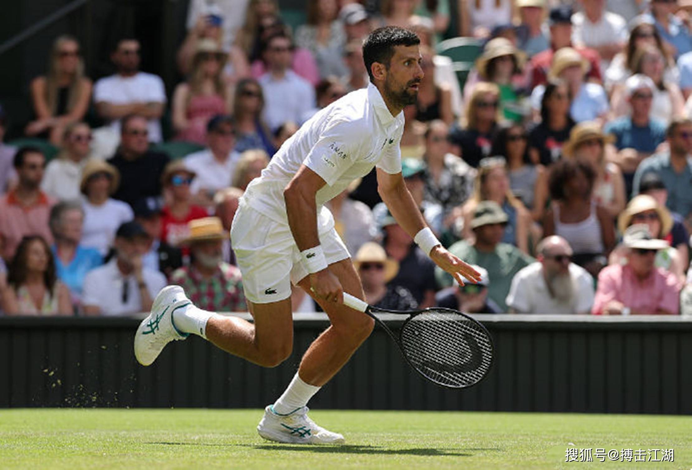 美国网球队翻盘澳大利亚网球队,德约科维奇绝境逆转 美国网球队翻盘澳大利亚网球队,德约科维奇绝境逆转