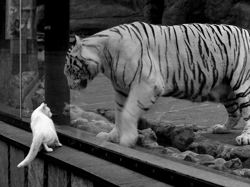 萨卡扛起全队，利物浦最后时刻击败曼联