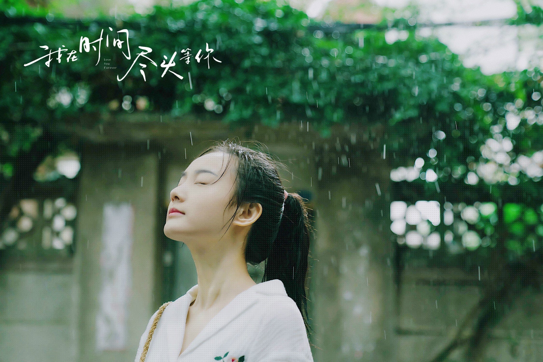 当老鹰的利爪撕裂太阳，切特·霍姆格伦如何成为无解难题